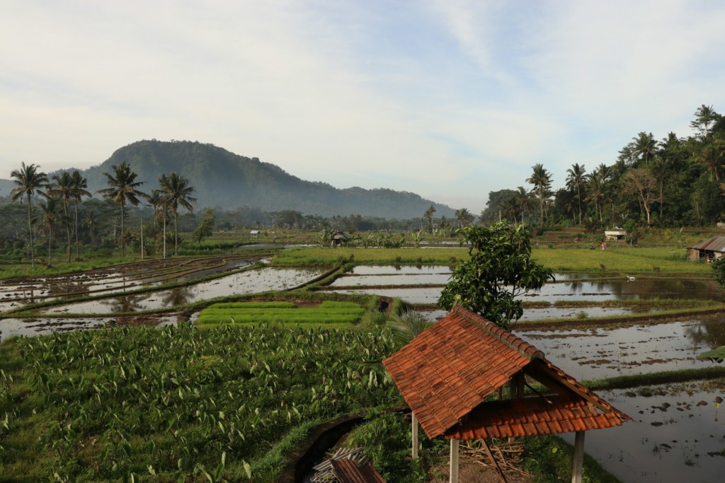 sidemen-bali